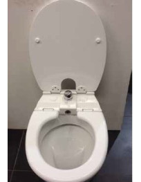 Copriwater - bidet forma Universale