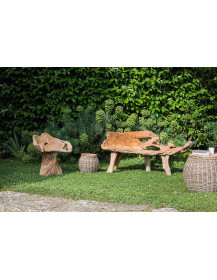 Sedute in radice di Teak