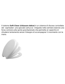 Copriwater essenza legno IDEAL STANDARD - forma  TESI -