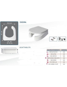 Disabile forma ESEDRA ( compatibilie ) h. 10
